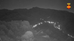 Webcams