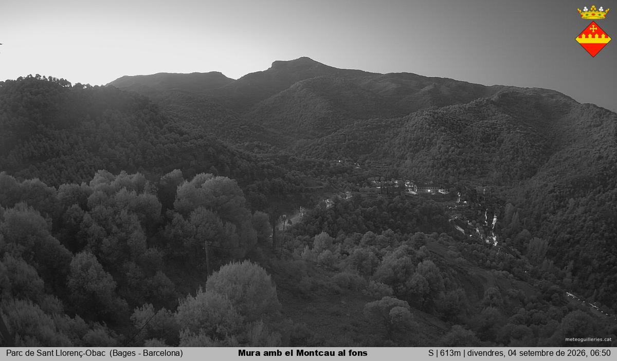 Mura amb el Montcau al fons