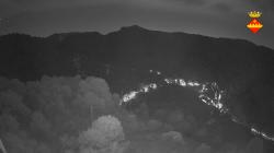 Webcams