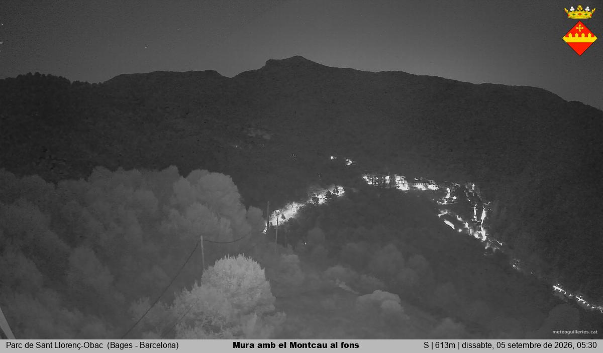 Mura amb el Montcau al fons
