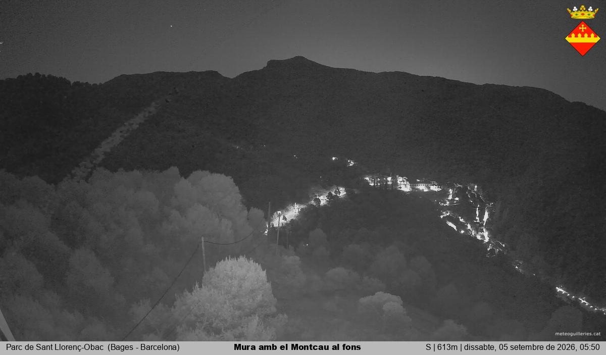 Mura amb el Montcau al fons