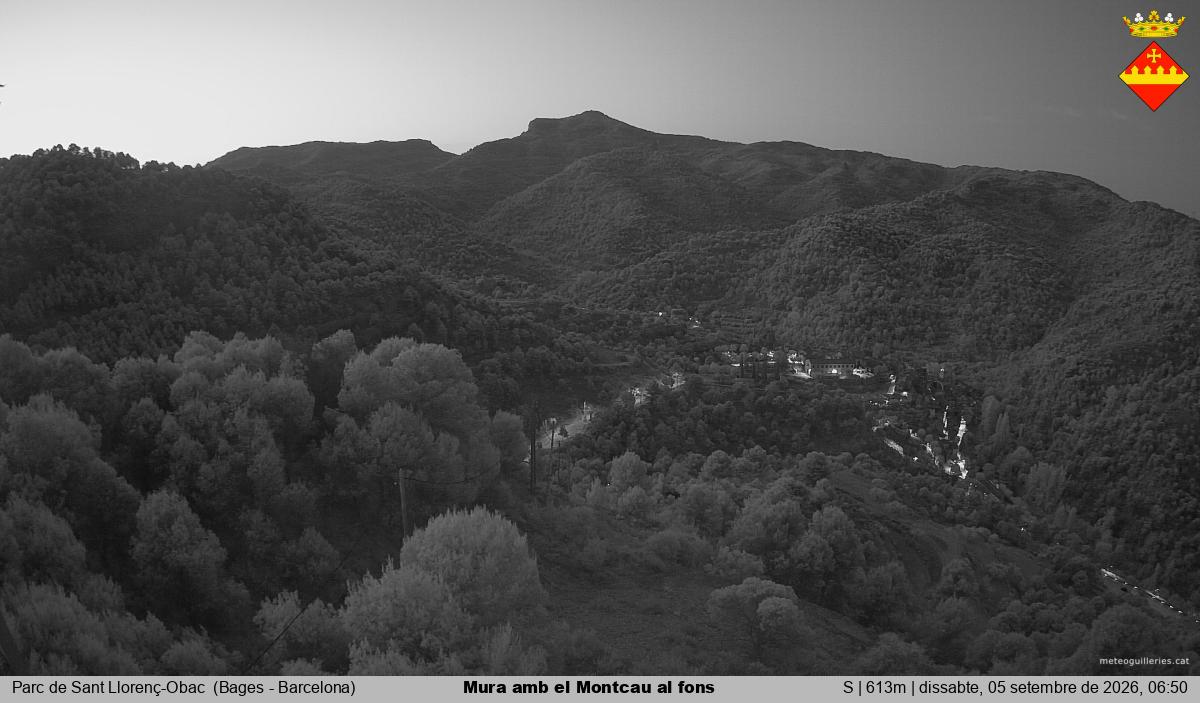 Mura amb el Montcau al fons