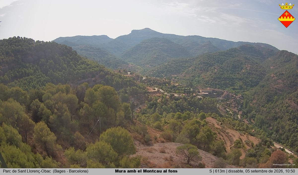 Mura amb el Montcau al fons