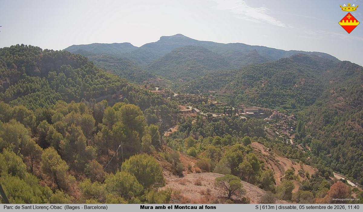 Mura amb el Montcau al fons