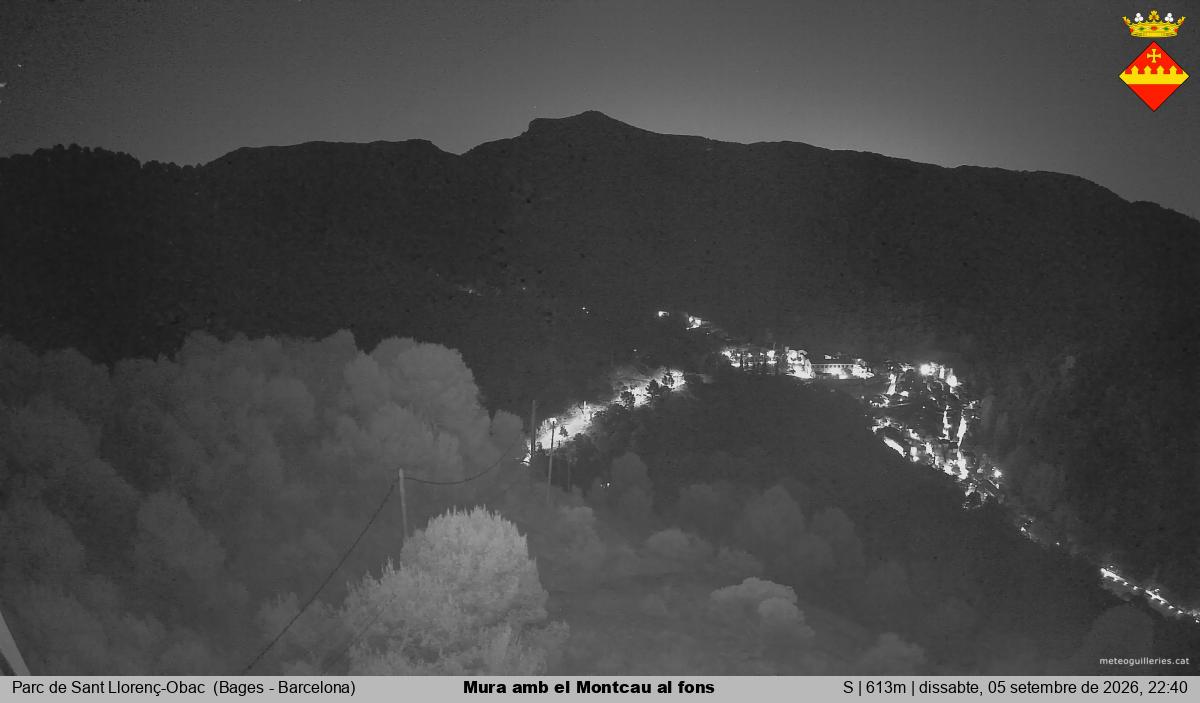 Mura amb el Montcau al fons