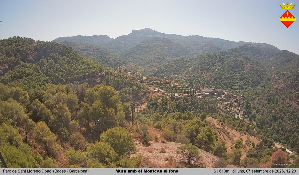 Mura amb el Montcau al fons