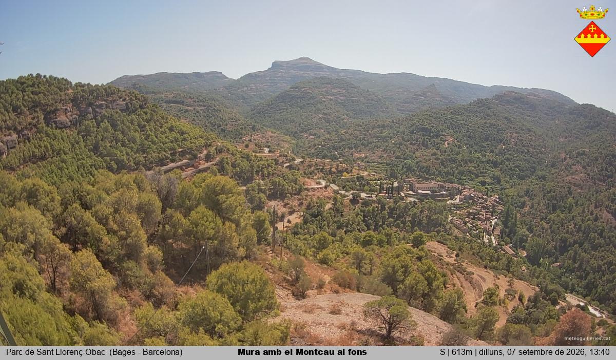 Mura amb el Montcau al fons