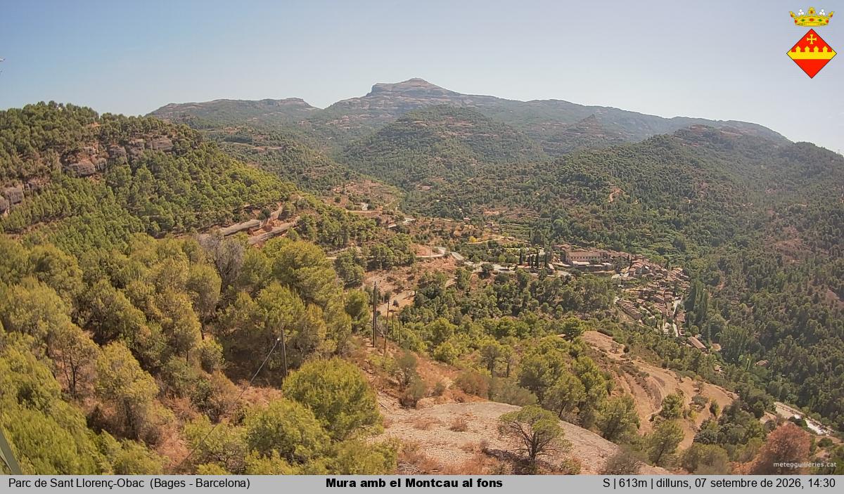 Mura amb el Montcau al fons