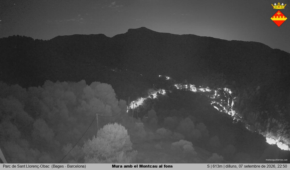 Mura amb el Montcau al fons
