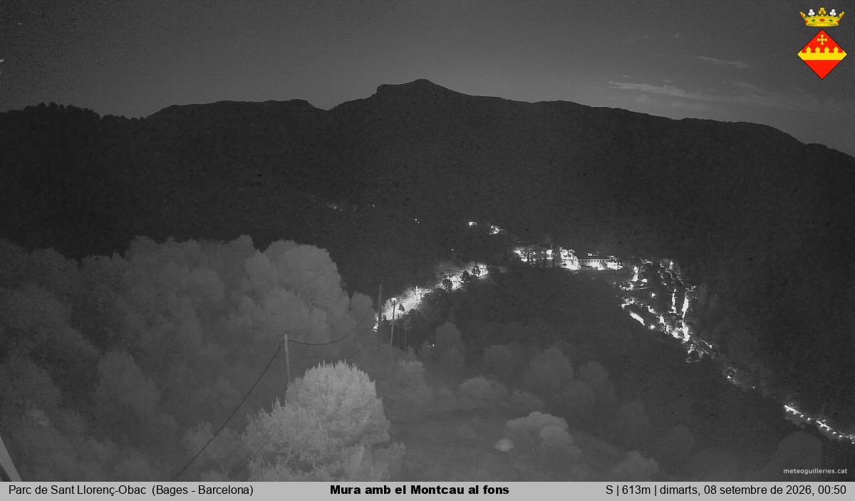 Mura amb el Montcau al fons