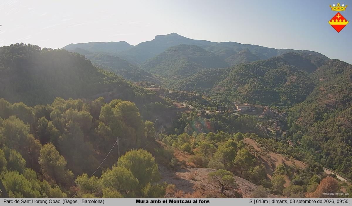 Mura amb el Montcau al fons