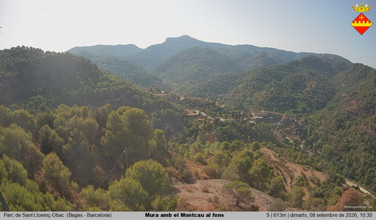 Mura amb el Montcau al fons