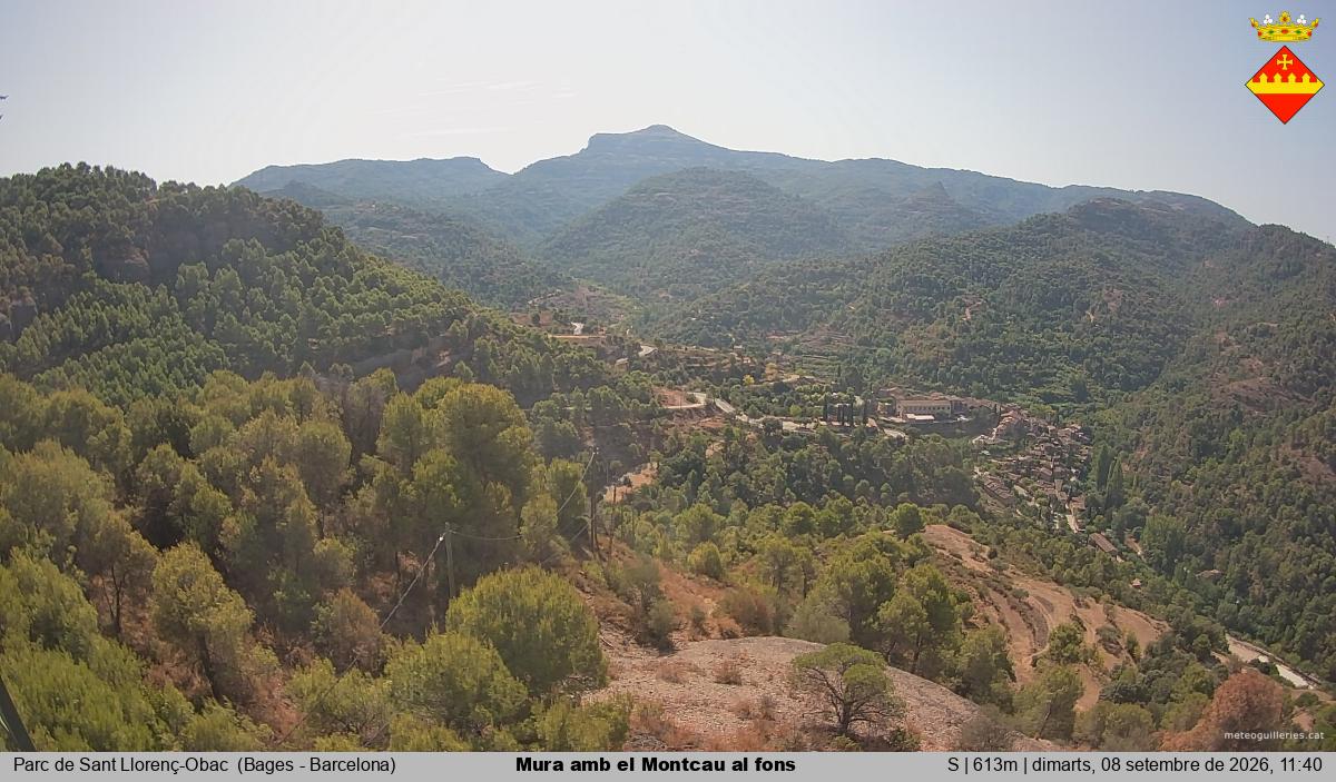 Mura amb el Montcau al fons