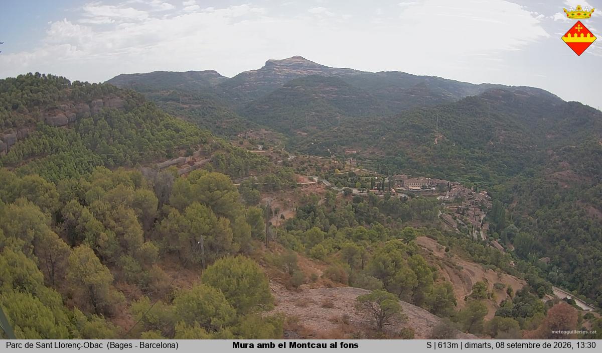Mura amb el Montcau al fons