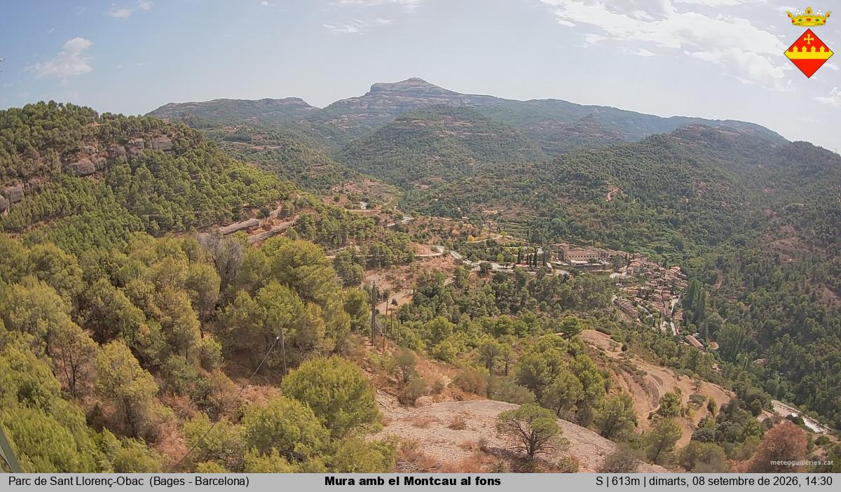 Mura amb el Montcau al fons