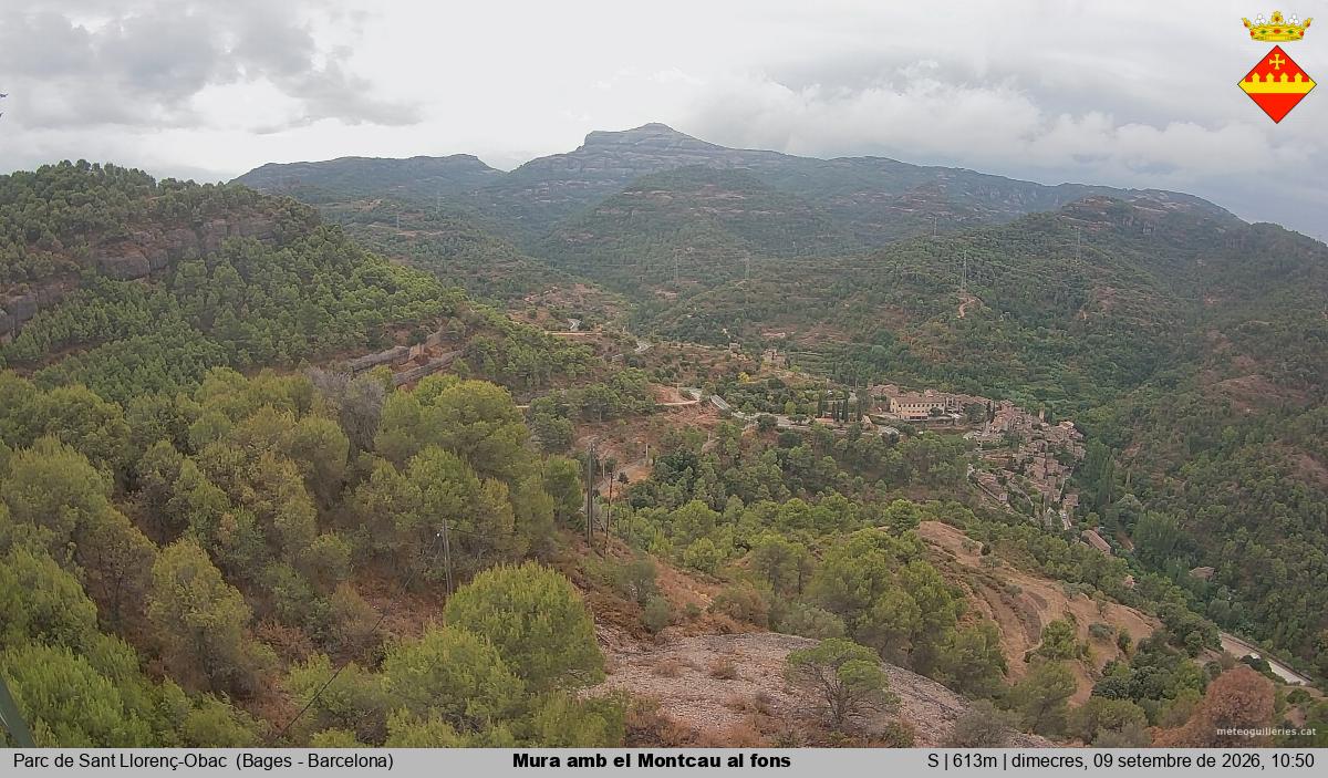 Mura amb el Montcau al fons