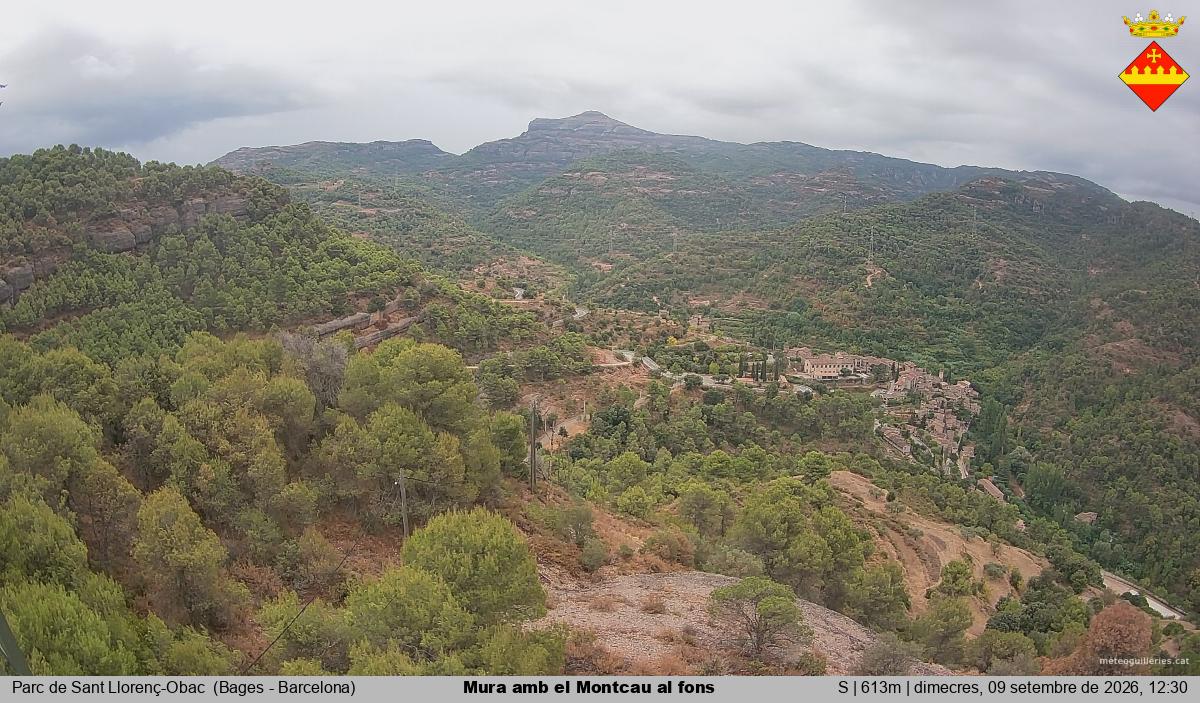 Mura amb el Montcau al fons