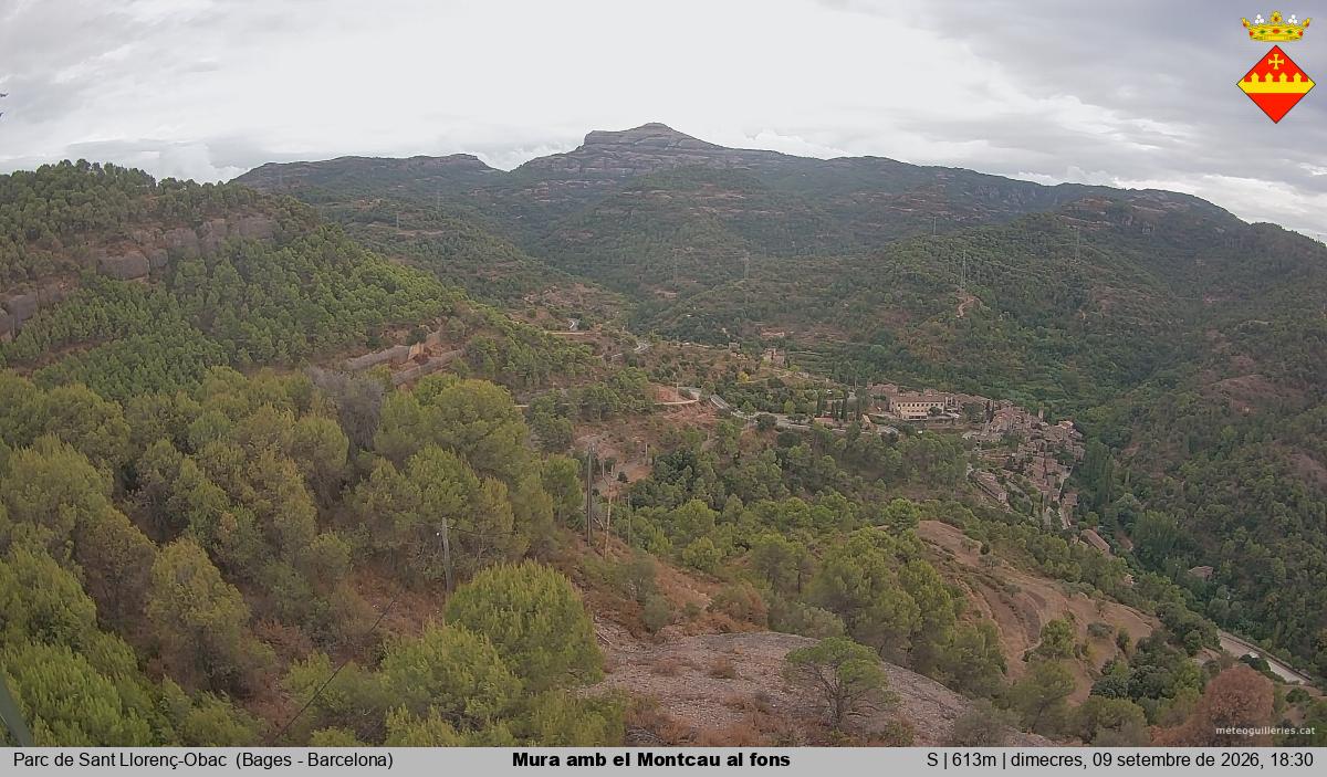 Mura amb el Montcau al fons
