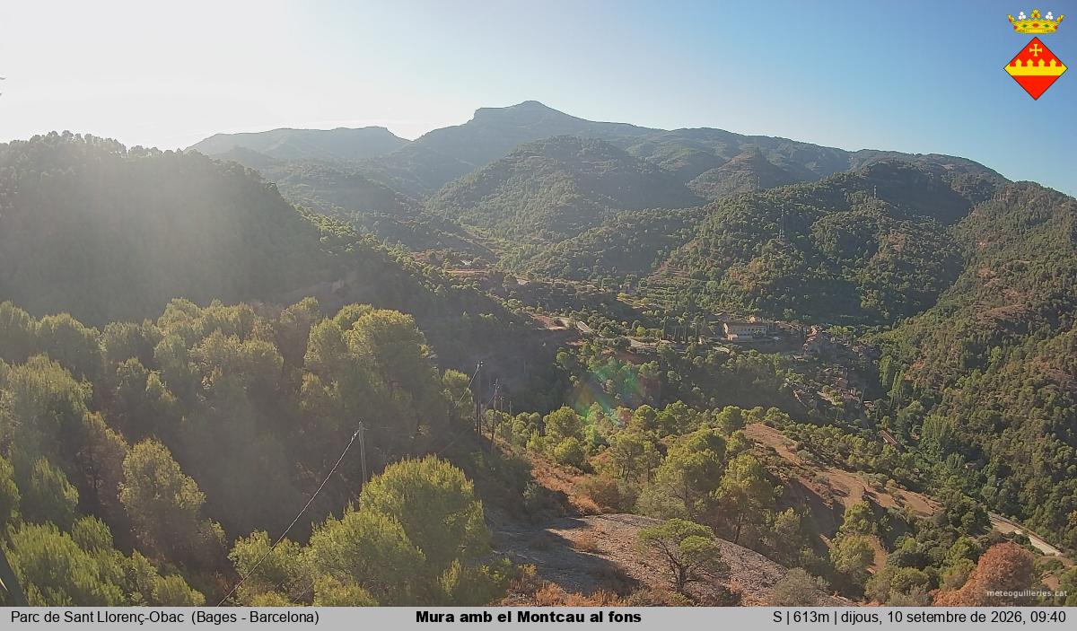 Mura amb el Montcau al fons