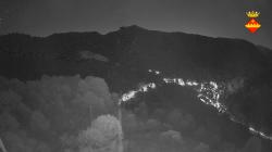Webcams