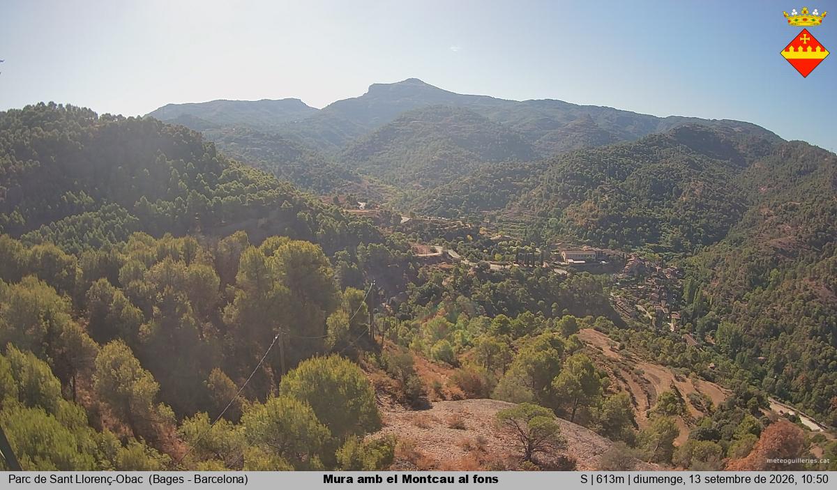 Mura amb el Montcau al fons