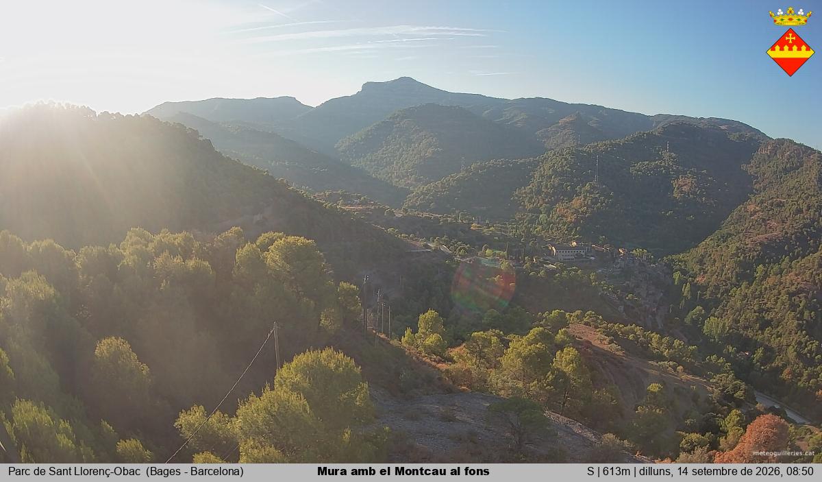Mura amb el Montcau al fons