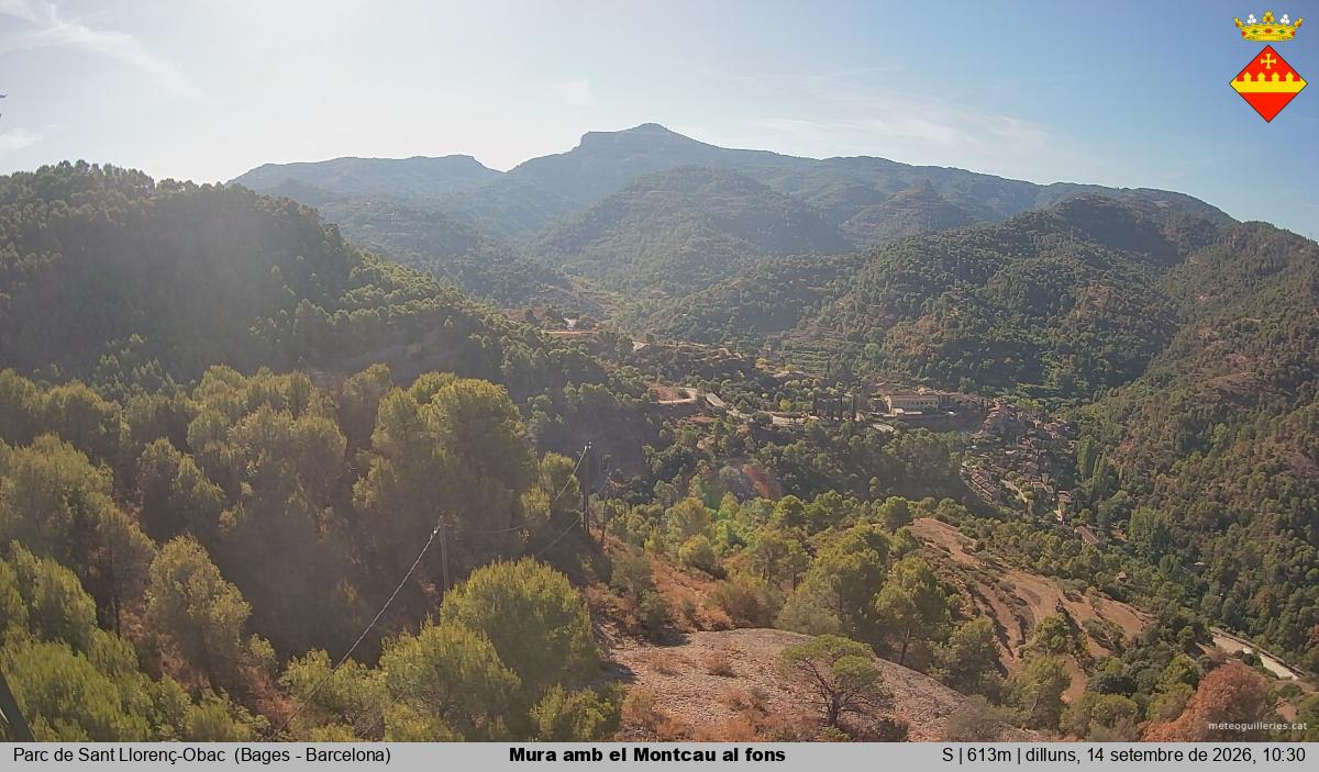 Mura amb el Montcau al fons