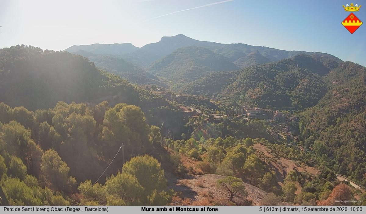 Mura amb el Montcau al fons