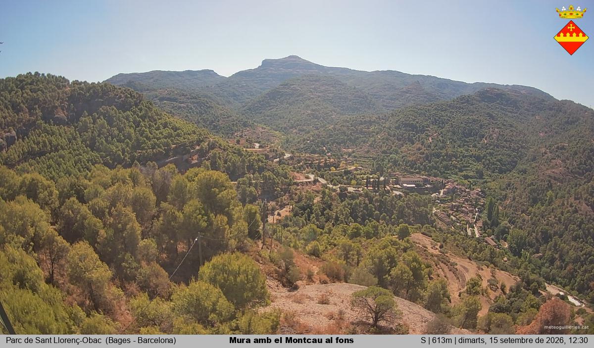 Mura amb el Montcau al fons
