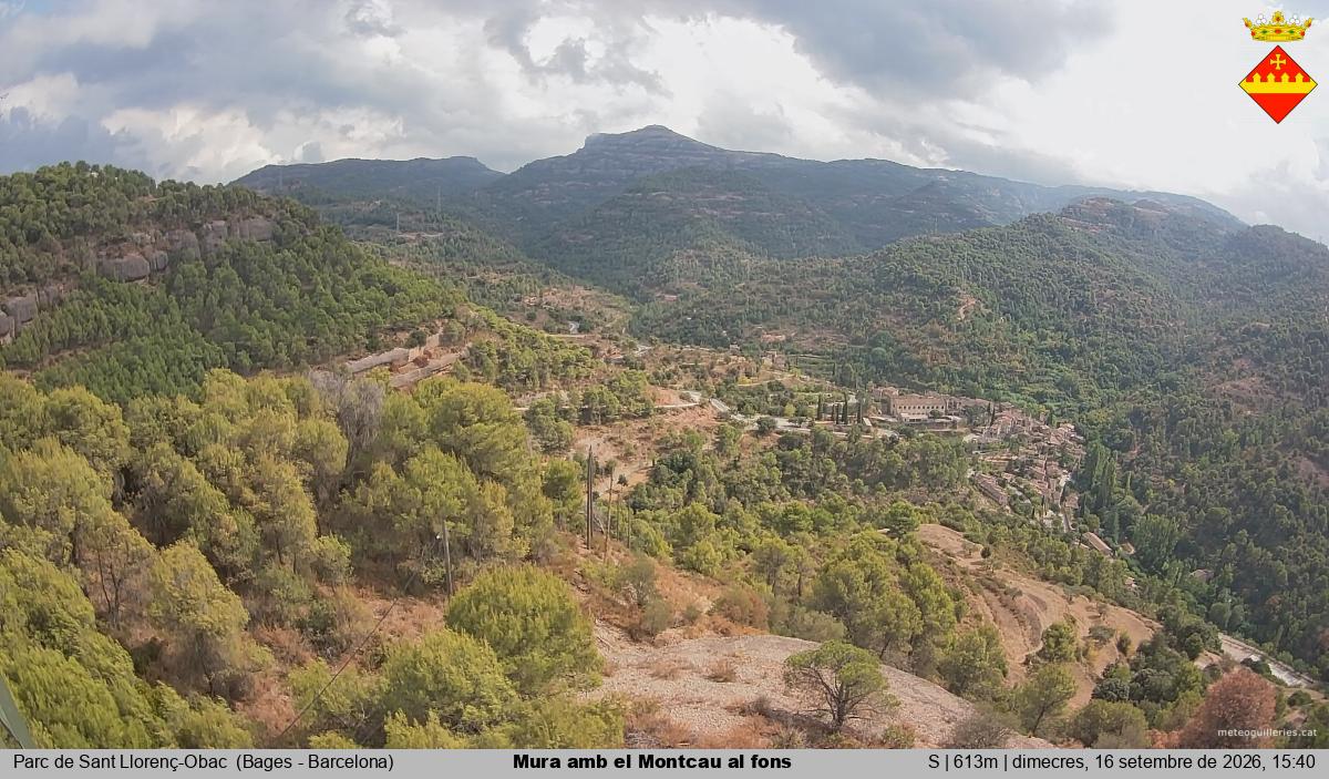 Mura amb el Montcau al fons