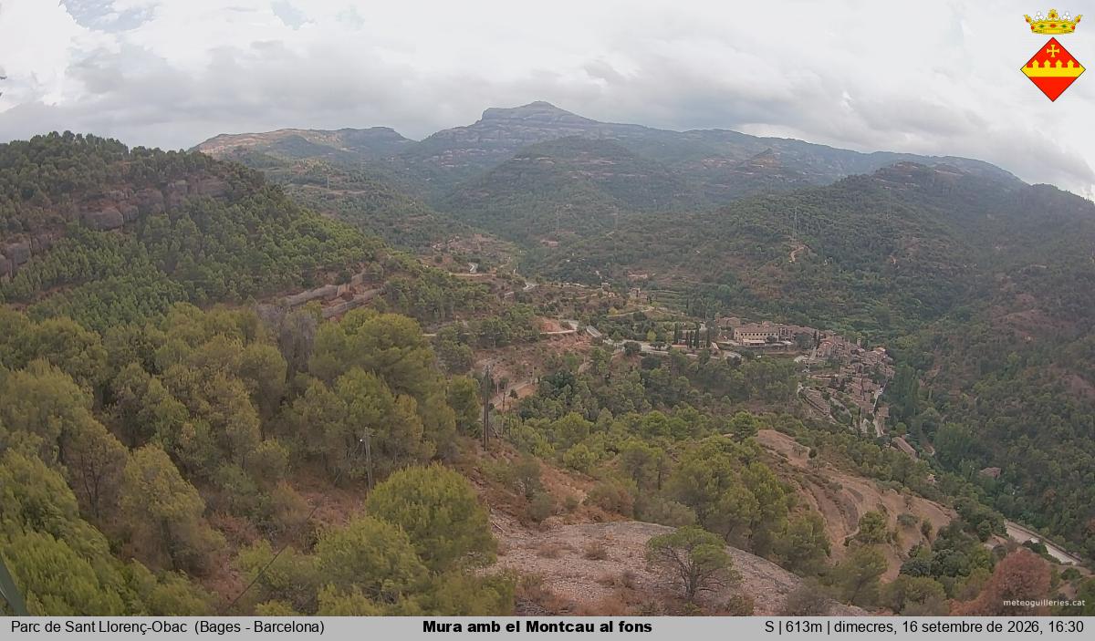 Mura amb el Montcau al fons