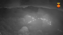 Webcams