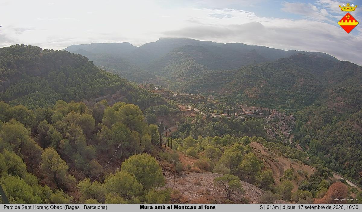 Mura amb el Montcau al fons