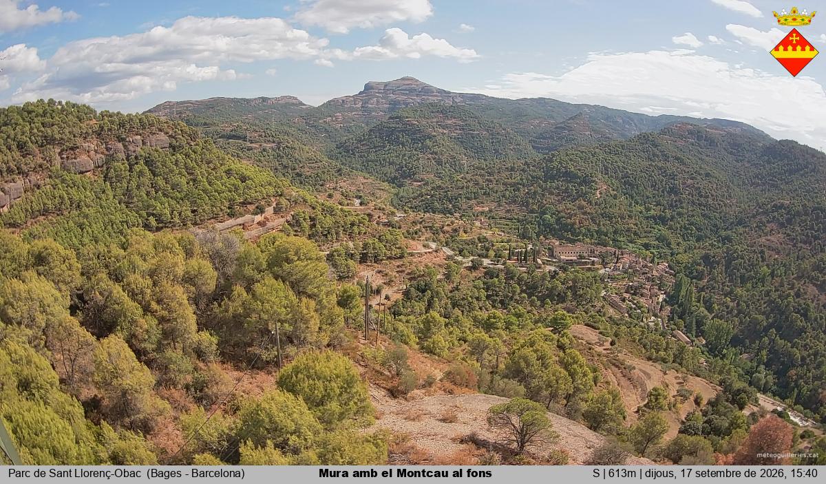 Mura amb el Montcau al fons