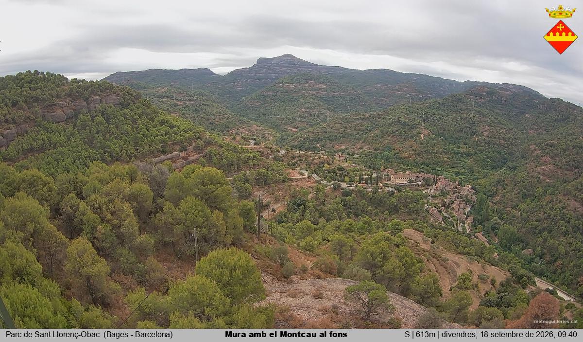 Mura amb el Montcau al fons