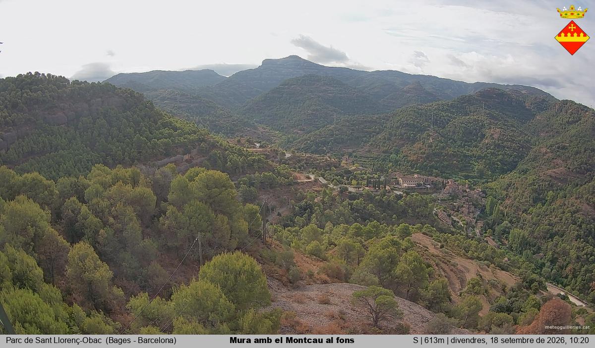 Mura amb el Montcau al fons