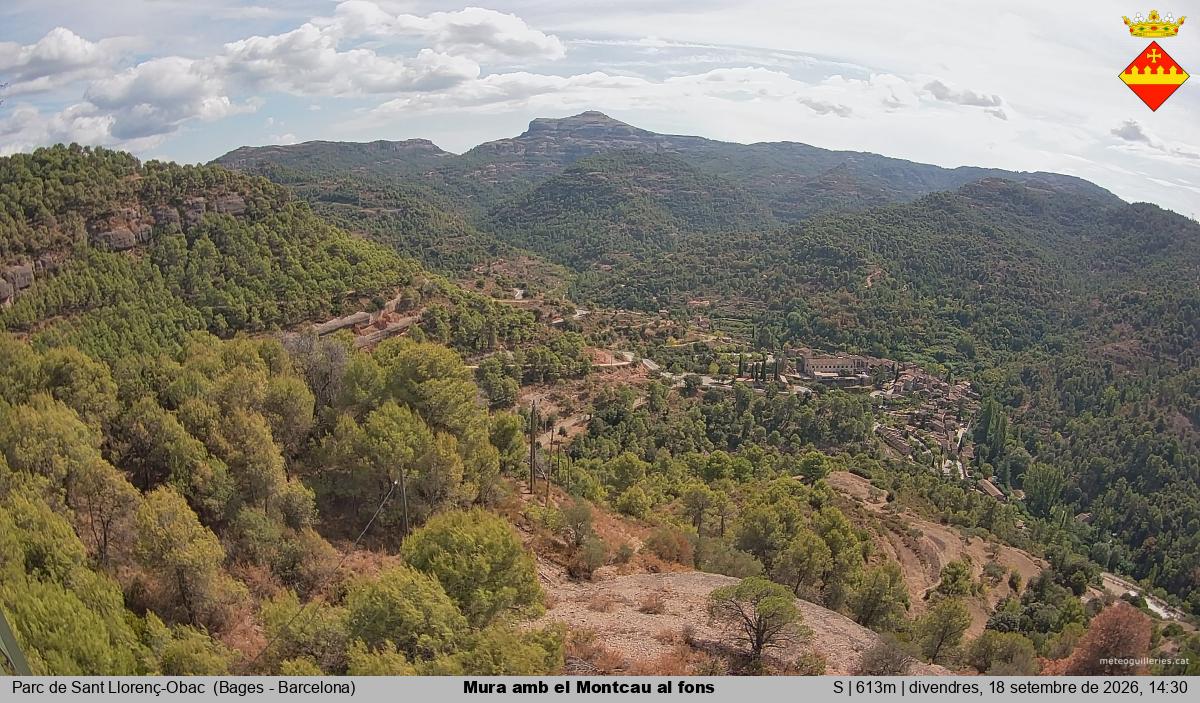 Mura amb el Montcau al fons