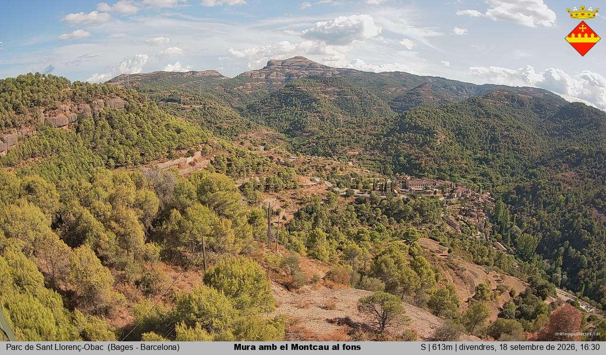 Mura amb el Montcau al fons