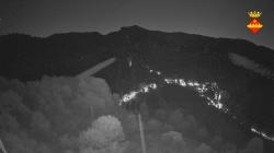 Webcams