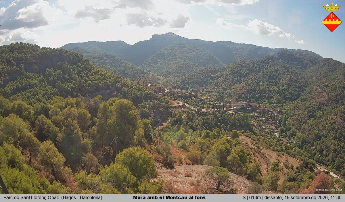 Mura amb el Montcau al fons