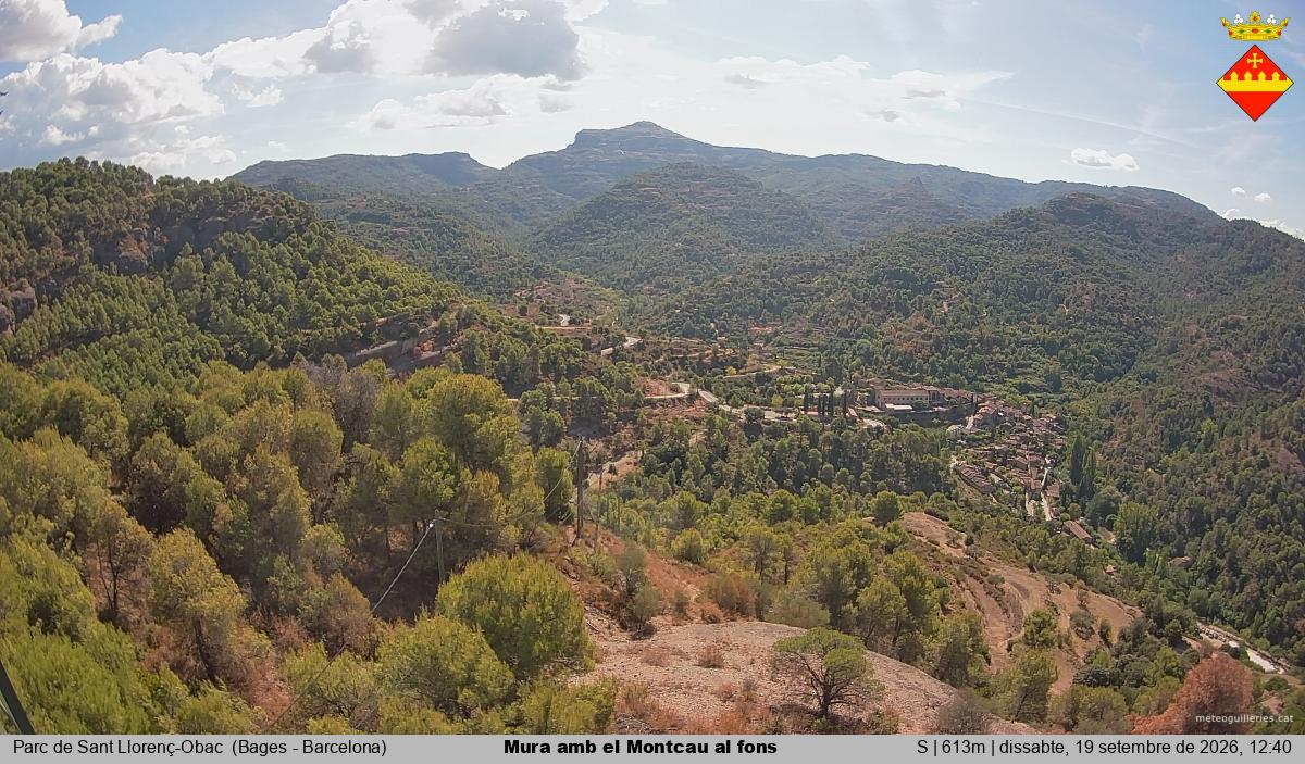 Mura amb el Montcau al fons