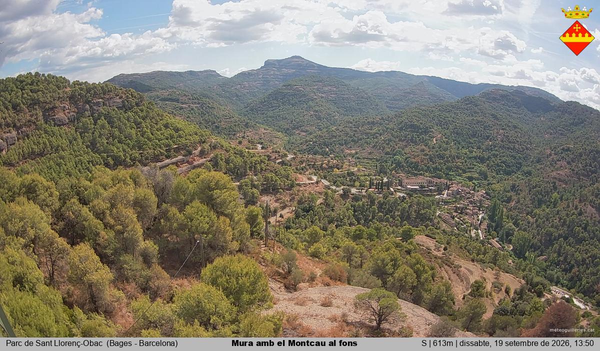 Mura amb el Montcau al fons