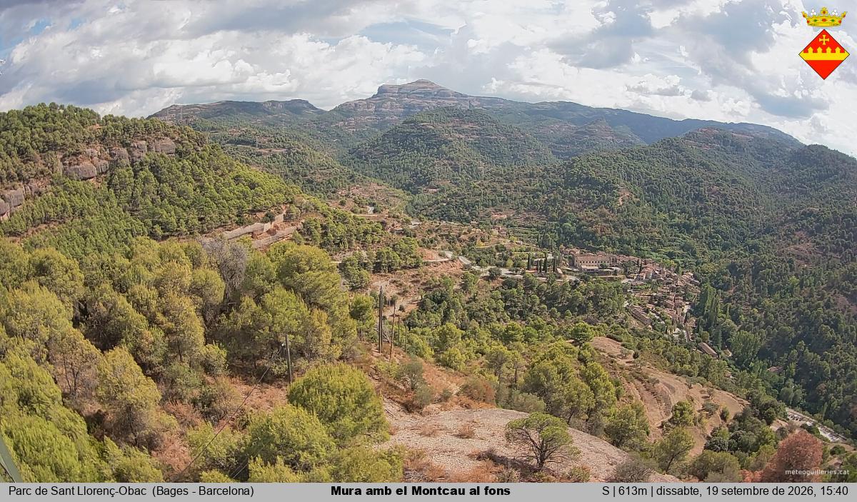 Mura amb el Montcau al fons