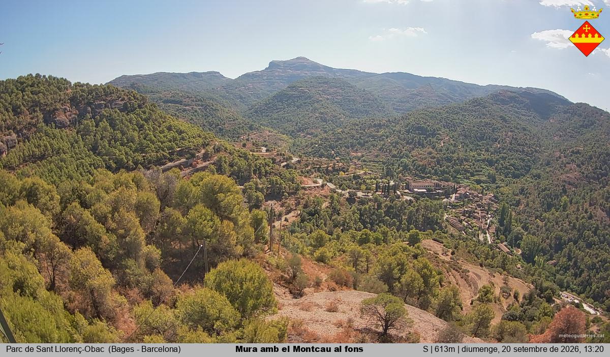 Mura amb el Montcau al fons