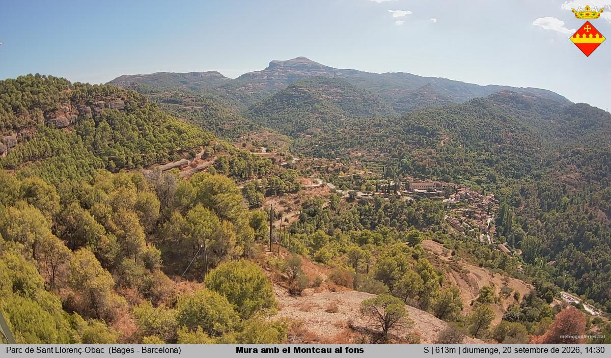 Mura amb el Montcau al fons