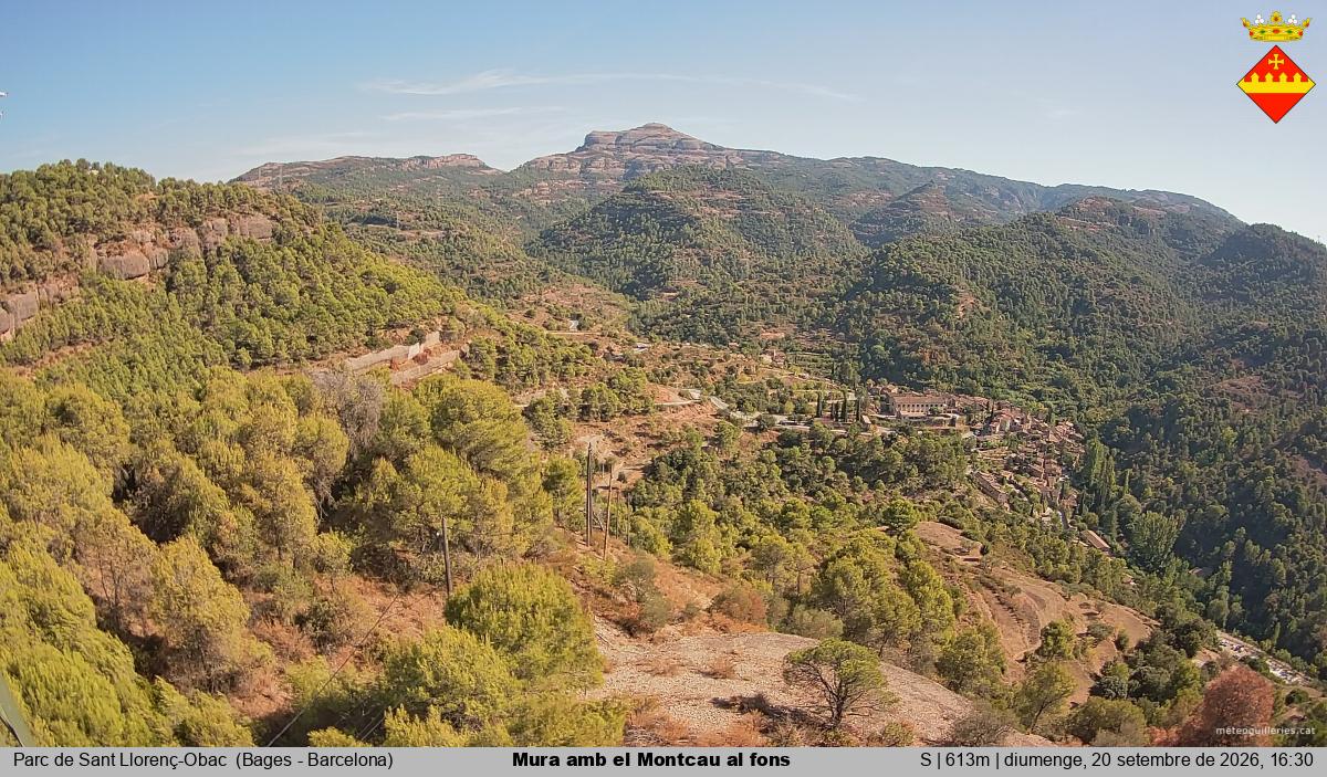 Mura amb el Montcau al fons