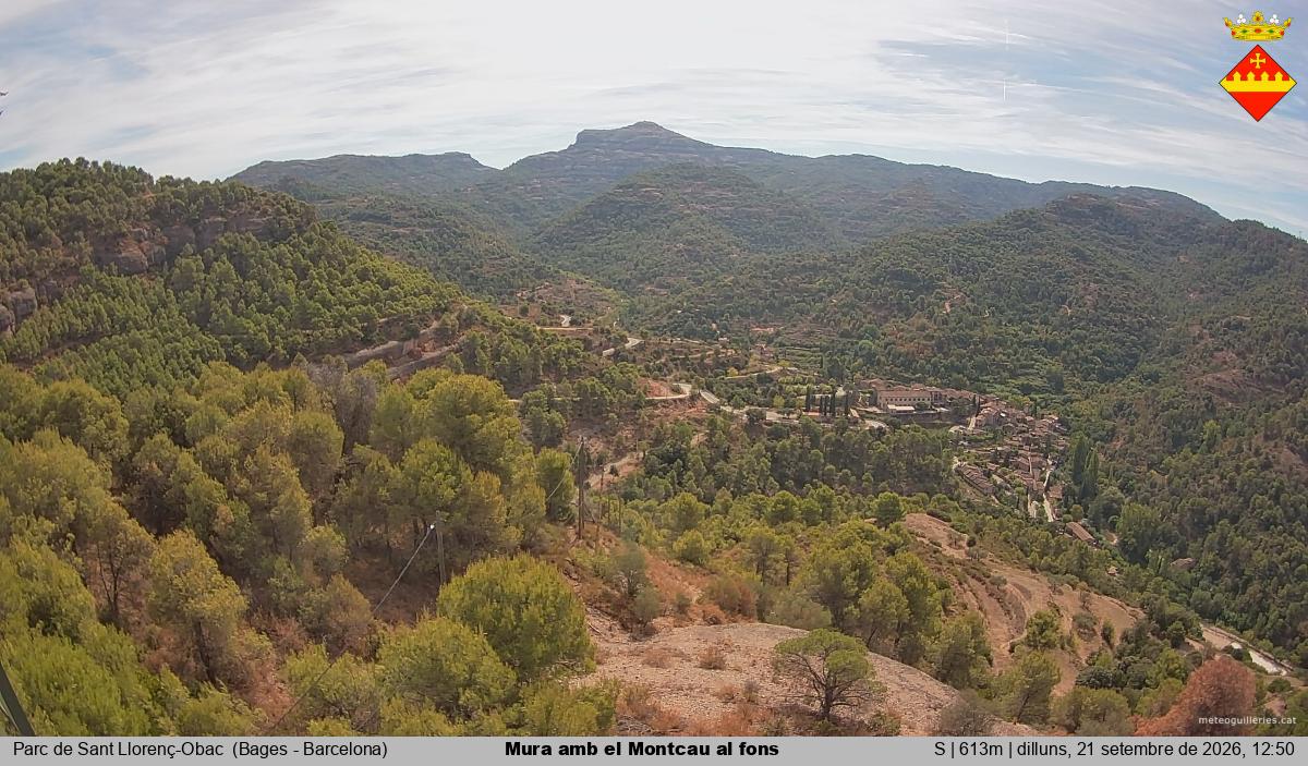 Mura amb el Montcau al fons