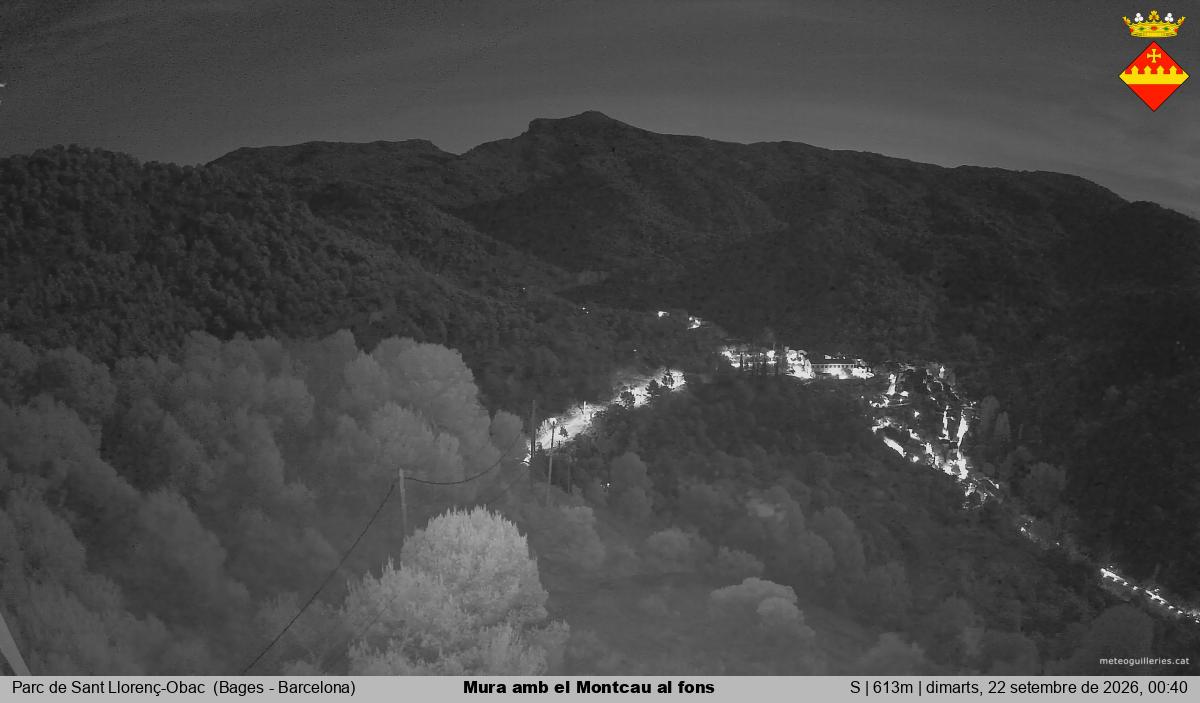 Mura amb el Montcau al fons