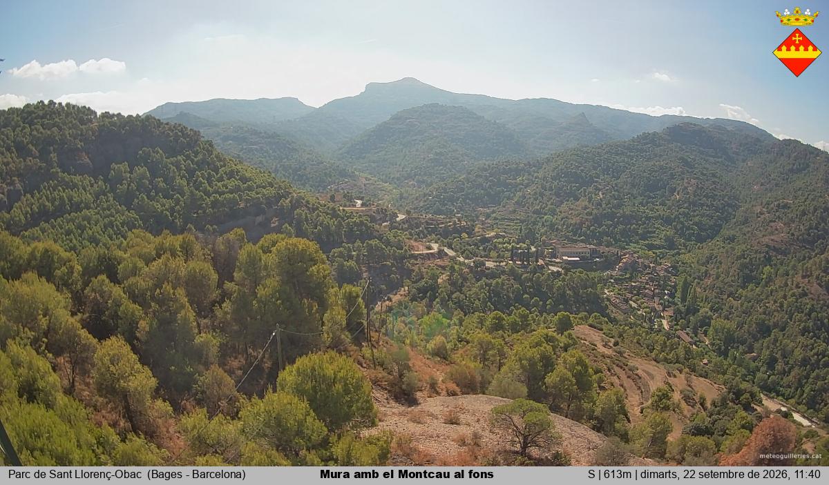 Mura amb el Montcau al fons