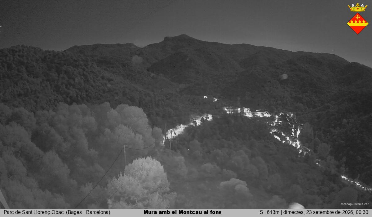Mura amb el Montcau al fons